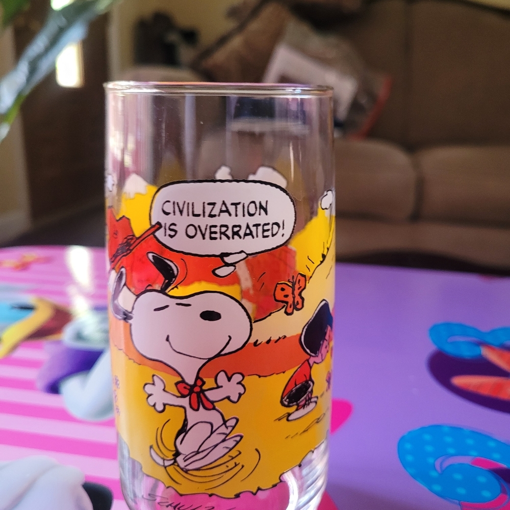 Vintage McDonald's Drinking Glasses